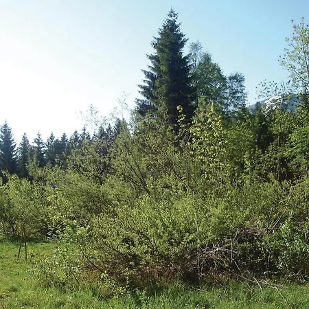 In Schetteregg